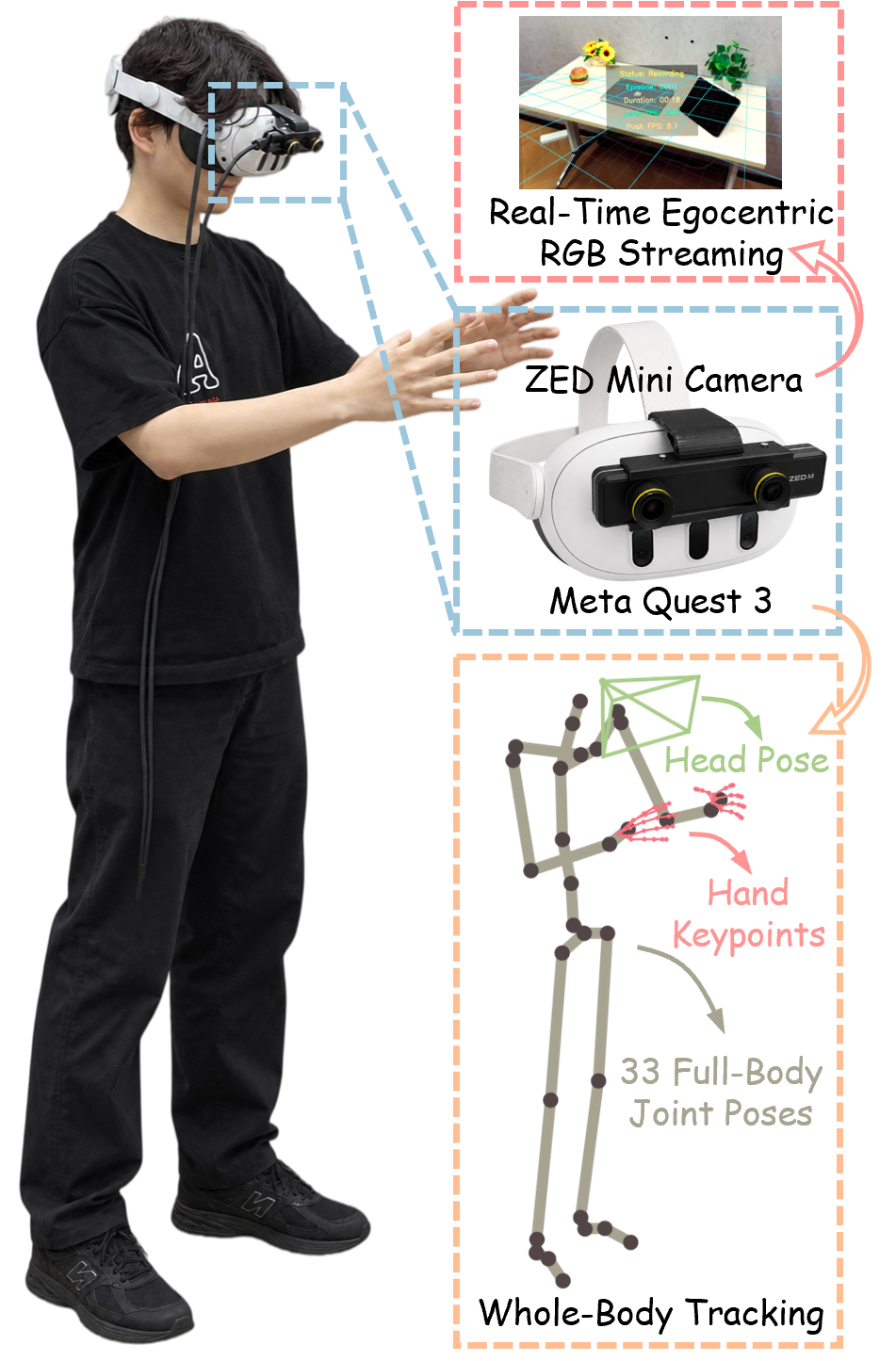 Tracker-free human data capture with a Meta Quest 3, ZED Mini camera, real-time egocentric RGB streaming, head pose, hand keypoints, and full-body joint tracking